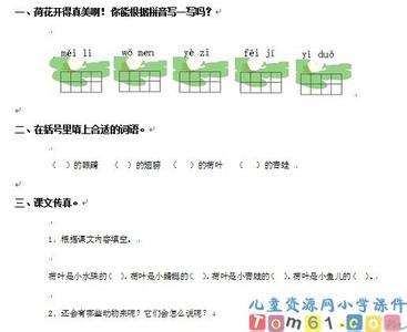 《荷叶圆圆》练习题