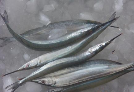 马步鱼的营养价值 马步鱼 马步鱼-概述，马步鱼-经济价值