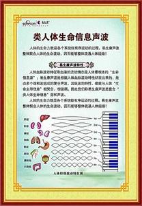 类人体 《类人体》 《类人体》-基本信息，《类人体》-演职员表