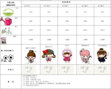 植物成长记录图片 “用照片来记录植物的成长过程”