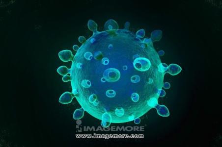 生物学的定义 C病毒 C病毒-定义，C病毒-病毒生物