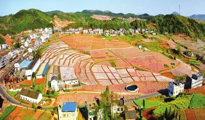 平原和岗地区别 岗地