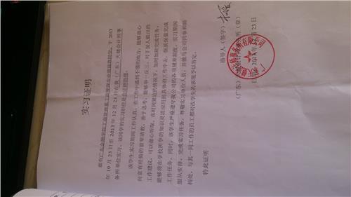 会计师事务所实习报告