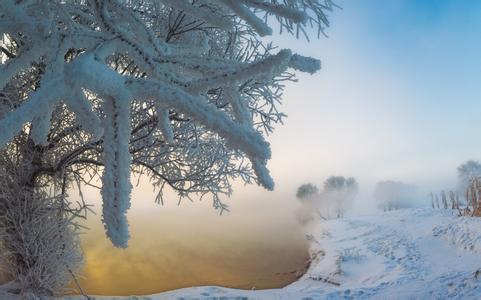 玉树琼花 泰山玉树琼花雪景风景图片