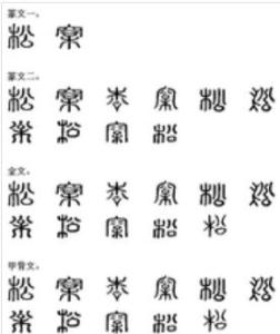 汉字的演变过程 松 松-汉字概述，松-汉字演变
