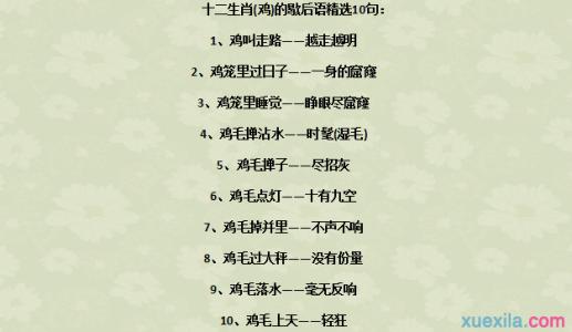 带鸡的四字成语 带鸡的歇后语