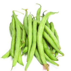 四季豆中毒的主要原因 四季豆中毒 四季豆中毒-概述，四季豆中毒-原因