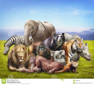 动物寄生虫的基本概念 动物群 动物群-基本概念，动物群-相关条目