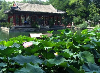 北京圆明园的美丽风景 北京圆明园风景图片