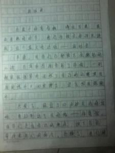 精彩的运动会作文600字 运动会作文600字