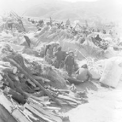 通海大地震 通海大地震 通海大地震-地震资料，通海大地震-地震参数