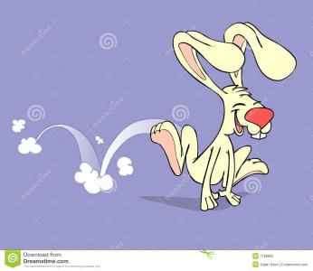 跳跃的兔子 跳跃兔 跳跃兔-简介，跳跃兔-简介