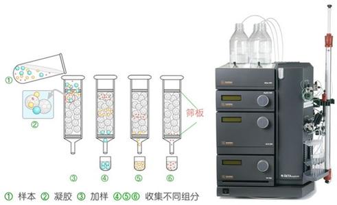 分离纯化 分离纯化 分离纯化-释义，分离纯化-相关条目