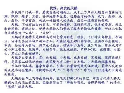 《16、天鹅的故事》练习题