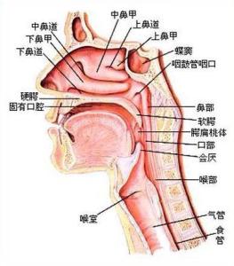 打呼噜怎么治疗 打呼噜怎么办，怎么治疗？