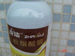 松脂酸铜 松脂酸铜 松脂酸铜-简介，松脂酸铜-前沿应用