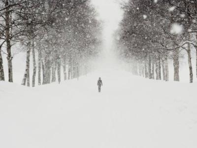 《第一场雪》原文 第一场雪