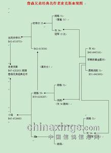 杂交育种 杂交育种 杂交育种-原则，杂交育种-杂交育种的简单概述