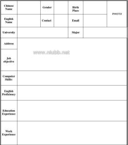 最新简历模板 word 2013年最新英文简历模板