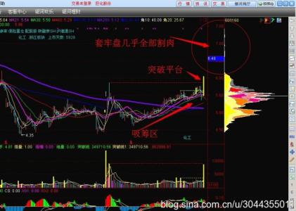 筹码分析理论 筹码理论 筹码理论-简介，筹码理论-内容分析