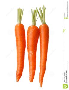 白菜的介绍 红萝卜的介绍
