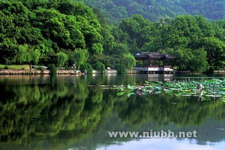 西湖十景图片大全风景 西湖黄龙吐翠（新十景）风景图片