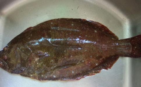 鲆鱼 鲆鱼 鲆鱼-简介，鲆鱼-营养分析