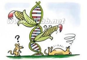 谷歌学术怎么下载文章 转基因玉米 转基因玉米-简介，转基因玉米-学术文章