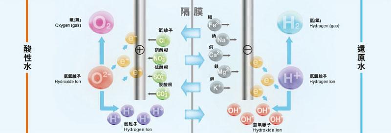 电解还原水 电解还原水的特点