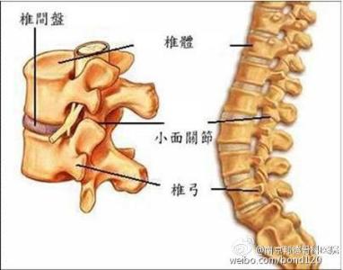 腰椎退行性病变 腰椎退行性变 腰椎退行性变-病变症状，腰椎退行性变-骨赘形成