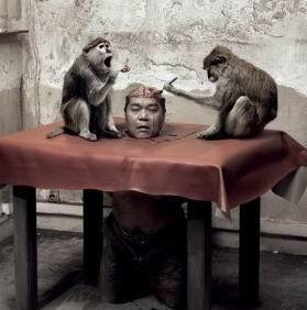 吃猴脑有什么好处 猴脑 猴脑-吃猴脑起源，猴脑-有害之处