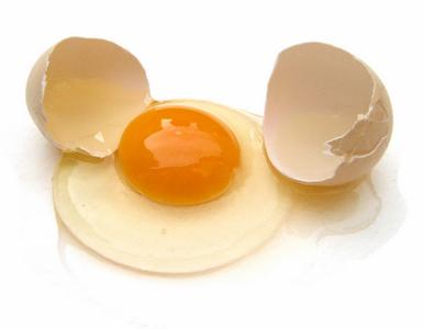 鸡蛋形成过程 鸡蛋 鸡蛋-主要结构，鸡蛋-形成过程