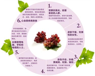 葡萄籽的主要成分 葡萄籽 葡萄籽-主要成分，葡萄籽-基本介绍