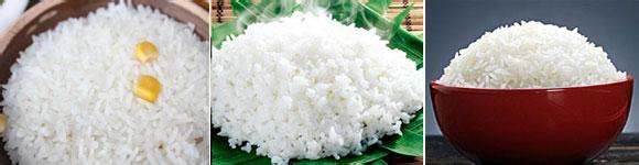 卷柏的食疗或药用价值 籼米 籼米-概述，籼米-食疗价值