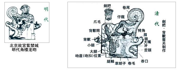 汉字的演变过程 脊 脊-基本释义，脊-汉字演变