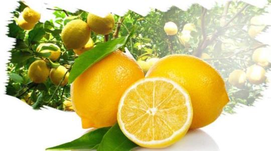 柠檬减肥的方法 柠檬美容方法