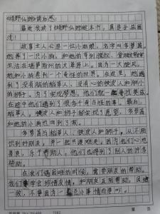 绿野仙踪读后感五十字 《绿野仙踪》读后感400字