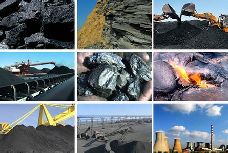 煤炭的形成过程 煤炭 煤炭-简介，煤炭-形成过程