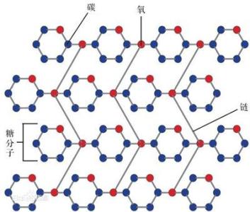 千百十工程具体简介 纤维素 纤维素-简介，纤维素-具体介绍