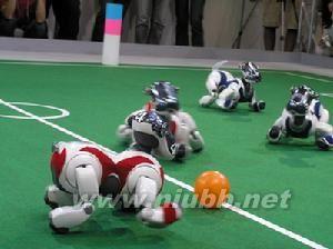 fira机器人足球比赛 机器人足球 机器人足球-比赛，机器人足球-FIRA世界杯