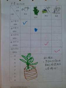 小学生植物生长记录表 植物生长记录