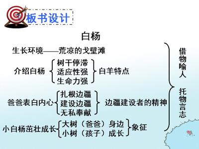 小学语文白杨板书设计 白杨教学设计