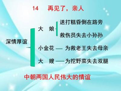 再见了亲人教学实录 《再见了亲人》教学设计