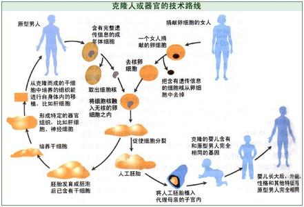 治疗糖尿病的基本措施 克隆病 克隆病-基本概述，克隆病-治疗措施