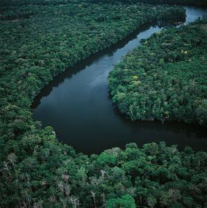 亚马逊河热带雨林 亚马逊热带雨林 亚马逊热带雨林-简介，亚马逊热带雨林-亚马逊河