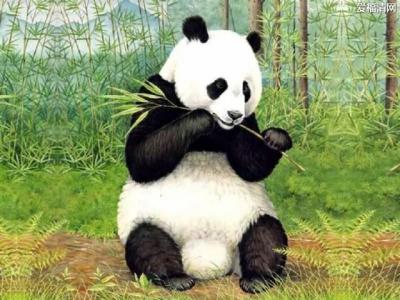 雷曼传奇追溯起源攻略 熊猫 熊猫-起源追溯，熊猫-发现过程