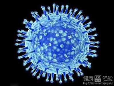 国家禽流感参考实验室 副流感病毒 副流感病毒-参考资料