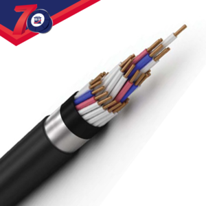 高性能辐照控制电缆 控制电缆 控制电缆-主要性能，控制电缆-发展前景
