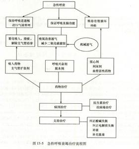 急性肝衰竭的病因 急性呼吸衰竭 急性呼吸衰竭-疾病病因，急性呼吸衰竭-症状体征