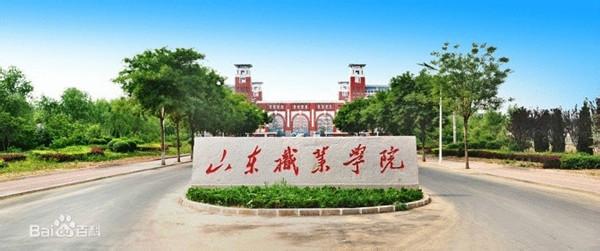 北京印刷学院院系设置 济南职业学院 济南职业学院-概况，济南职业学院-院系设置